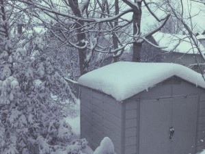 snow covered garden shed - Feb 6, 2011