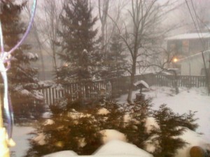 winter storm - Feb 2, 2011
