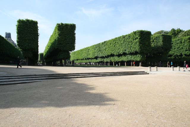 manicured trees in jardin du luxembourg